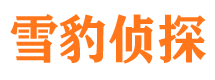 民丰婚外情调查取证